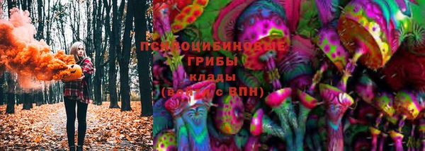 дурь Алексеевка