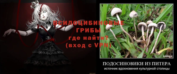 дурь Алексеевка