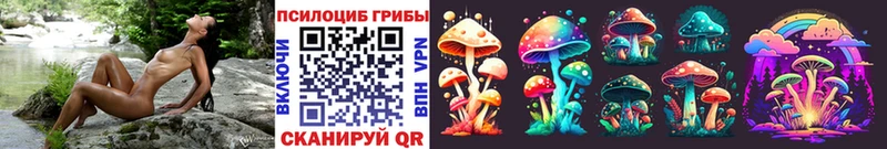 Псилоцибиновые грибы Psilocybe Менделеевск