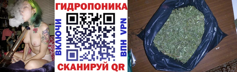 MEGA ссылка  Менделеевск  Бошки марихуана ГИДРОПОН  где купить наркотик 